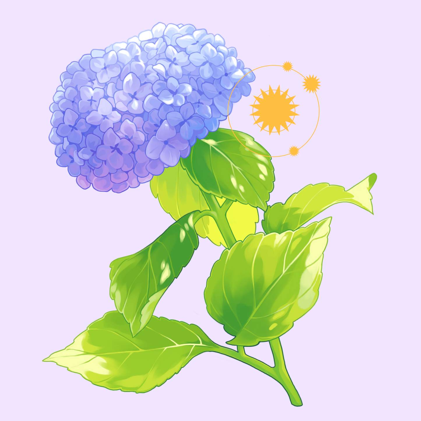 Hydrangea - Mini print